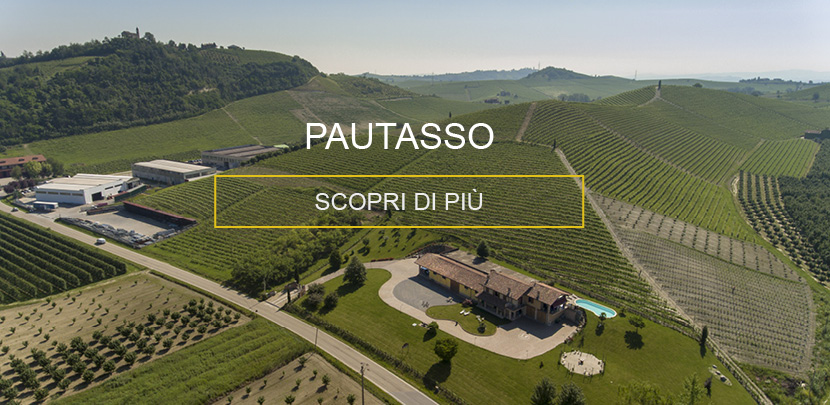 Vigna Pautasso Castellinaldo | Raffaele Gili Vini - Azienda